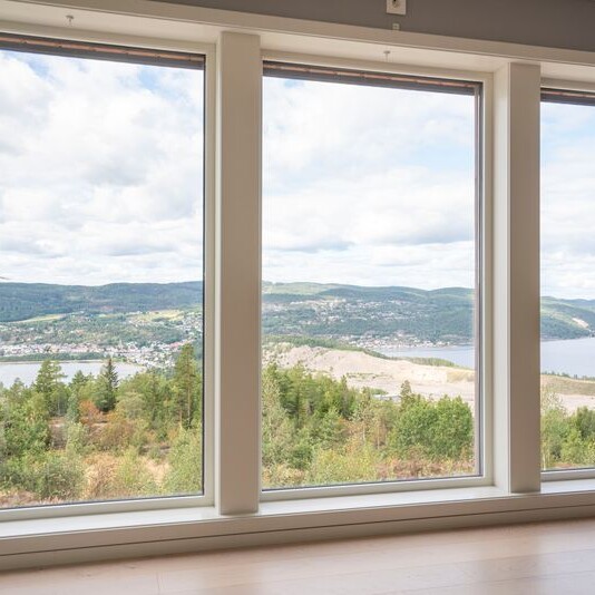 Aluclad Fixed Windows